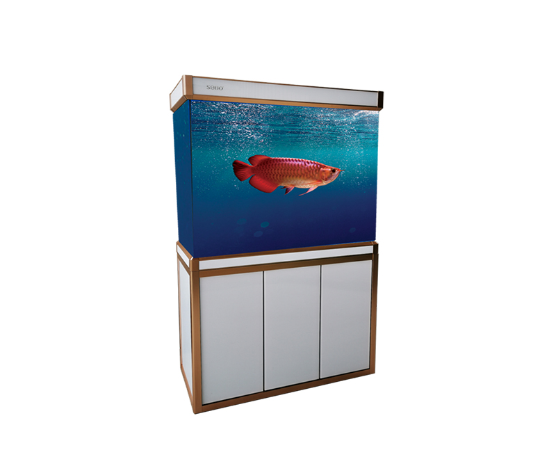 S2 Series Aquariums - Chow Yang Aquarium & Pet Supplies Sdn Bhd